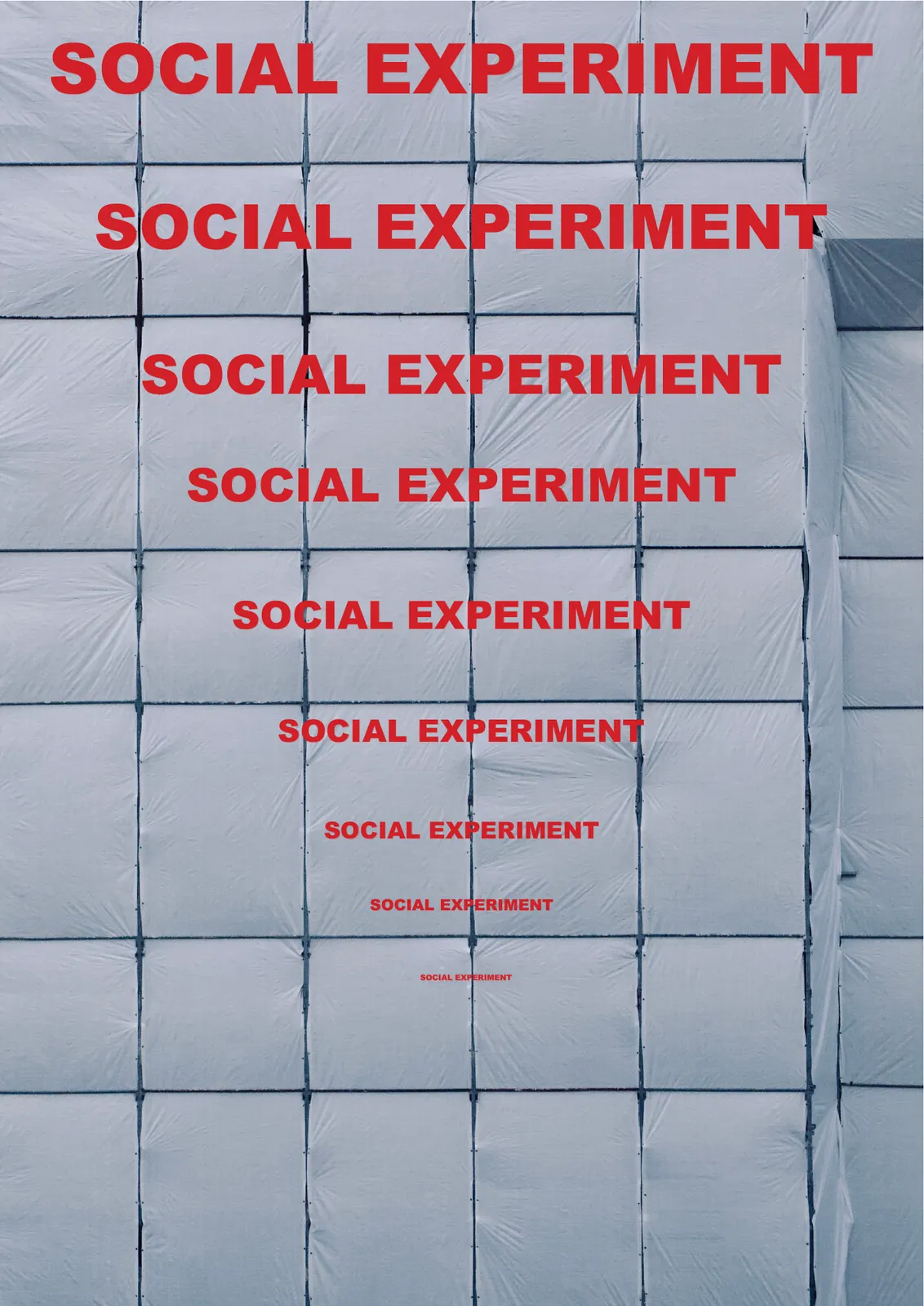 Social Experiment, page 1